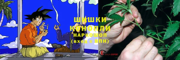 MESCALINE Аркадак
