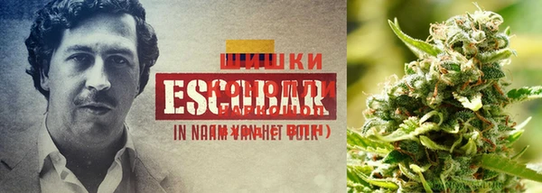 MESCALINE Аркадак