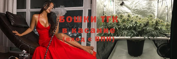 винт Армянск