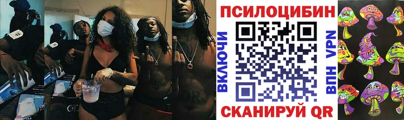 Псилоцибиновые грибы Psilocybine cubensis ОМГ ОМГ как зайти Советский что такое